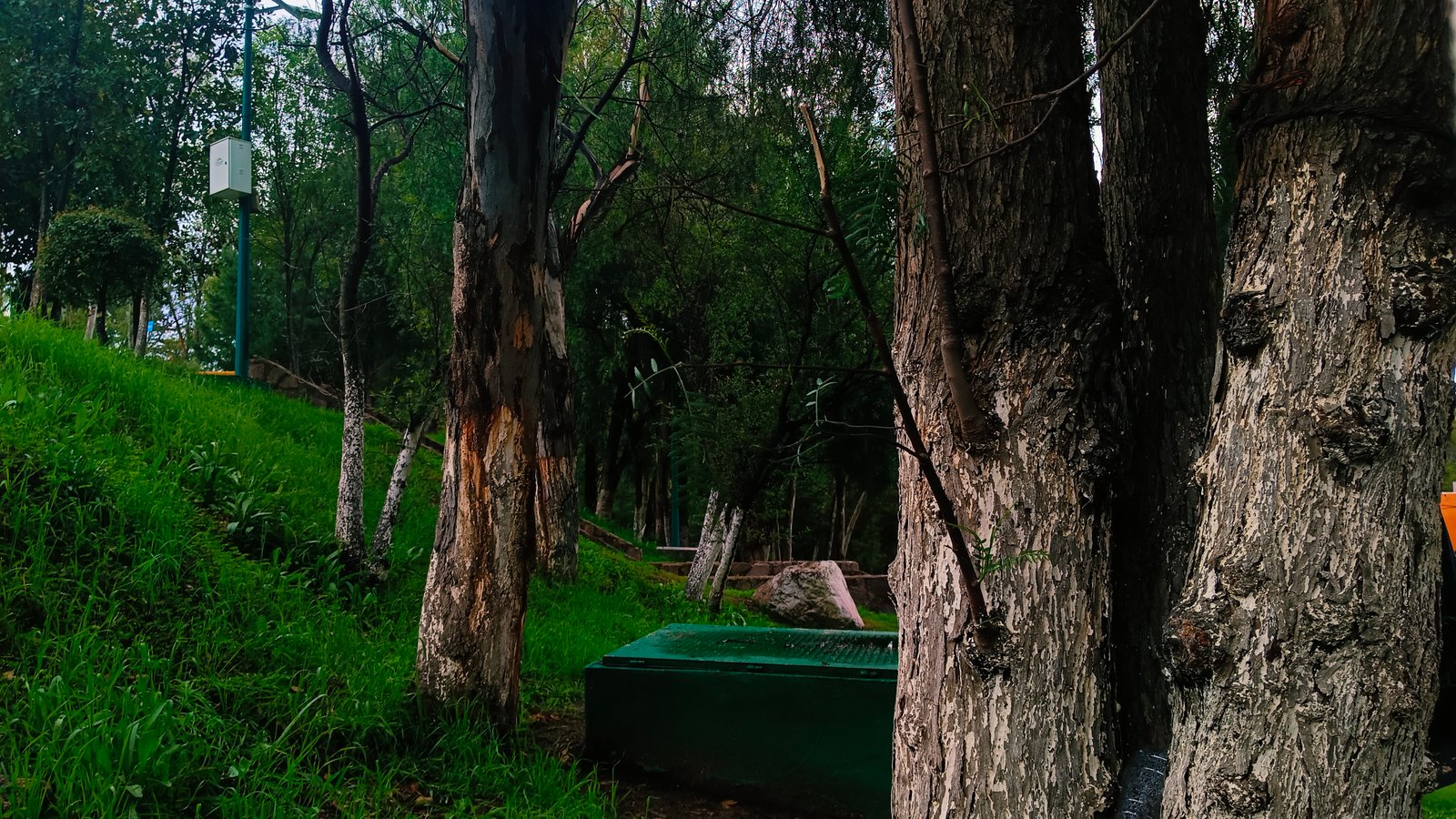 Colorización de video